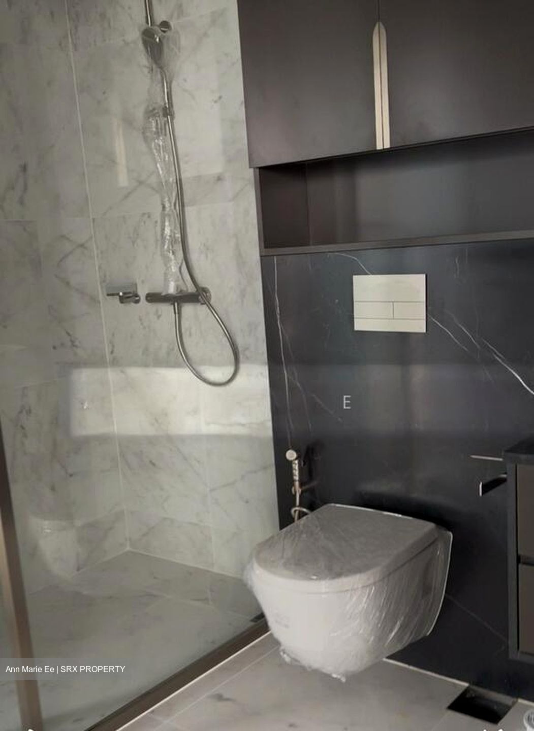 One Bernam (D2), Apartment #504102871